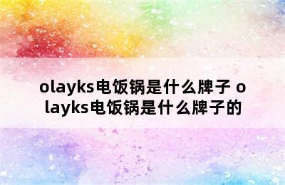 olayks电饭锅是什么牌子 olayks电饭锅是什么牌子的